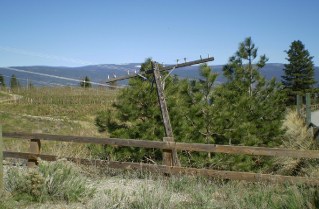An old telephone or telegraph pole at the north end of the bridge, Kettle Valley Railway Penticton to Summerland, 2011-05.